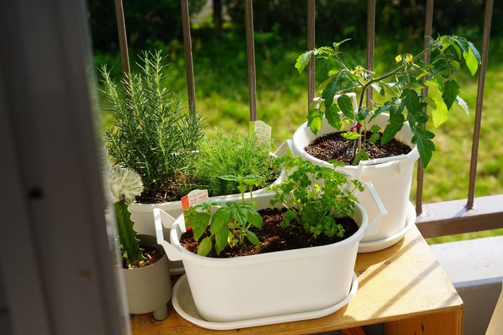 築59年の団地の一室にはユーズド家具がよく似合う。雑貨店オーナーが作り出す部屋とは？【FUDGE おしゃれな人のルームツアー vol.11】