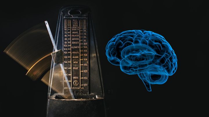 “脳メトロノーム”としての呼吸——応用は瞑想から仕事術まで