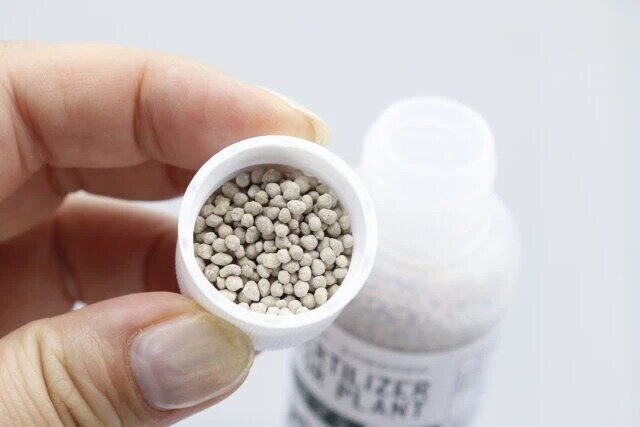 観葉植物・多肉植物用肥料FERTILIZERFORPLANT 中身
