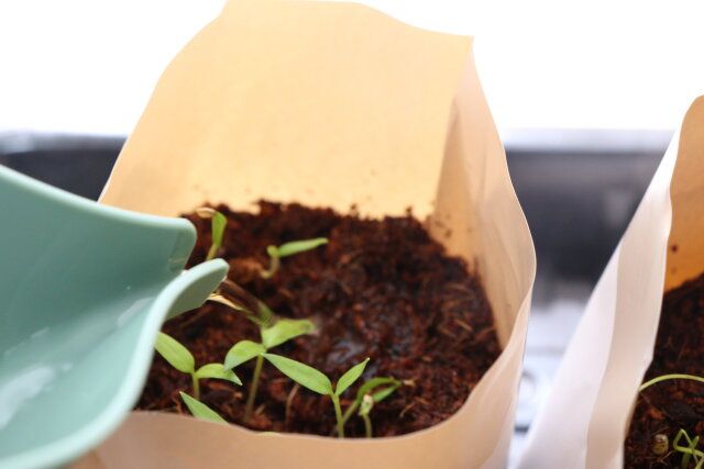 スリム水差し 使用例