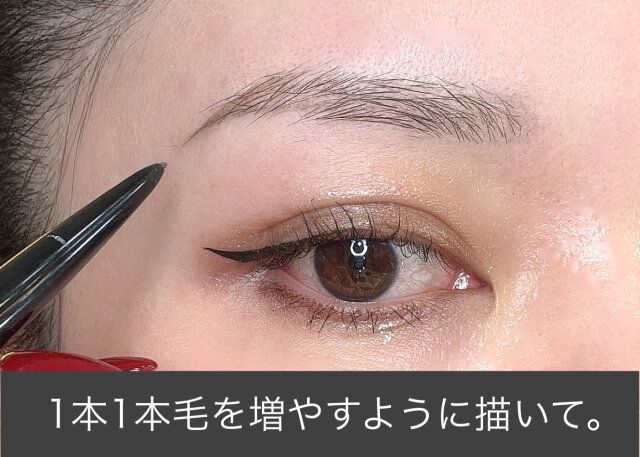 毛を1本1本足すように描く