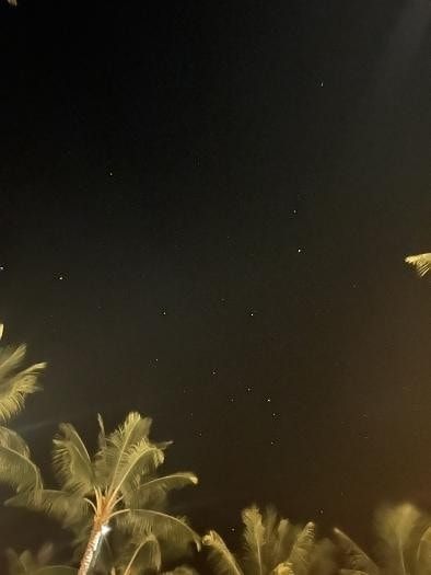 プールからみた夜空