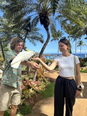 バードハンドラーとの体験