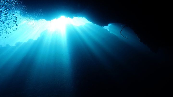 生態系・漁業・気候――連鎖する暗黒ドミノ