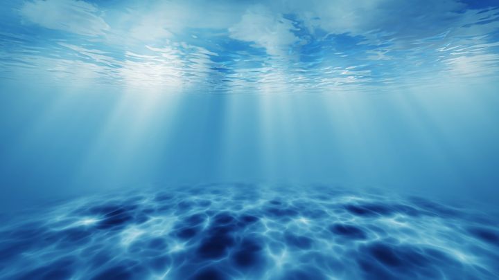 なぜ今、海の明るさを測るのか