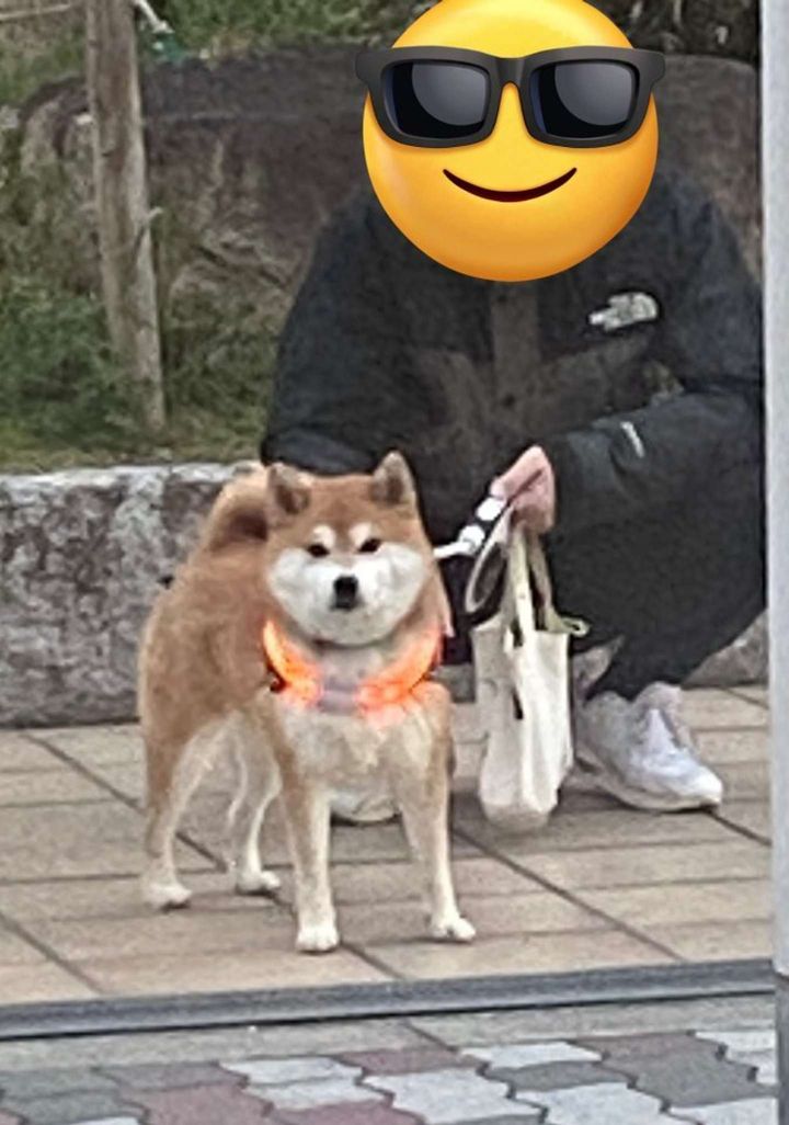 偶然遭遇！（画像は＠ohirune190303さんの投稿より、再掲）