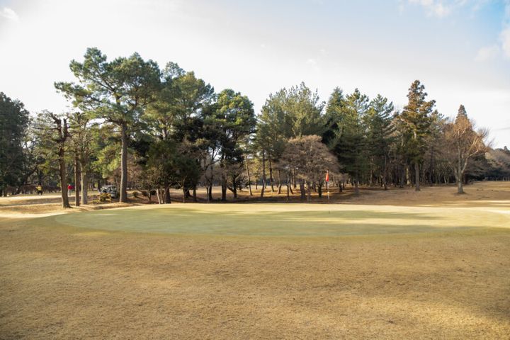 アプローチが難しいならパターを使ってみて！“パター名人”が状況別に解説