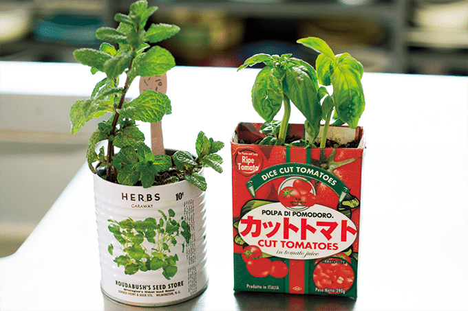 空き缶や紙パックをリユースして楽しむ「おうちハーブ」の楽しみ方「ペパーミント」＆「スイートバジル」の画像4