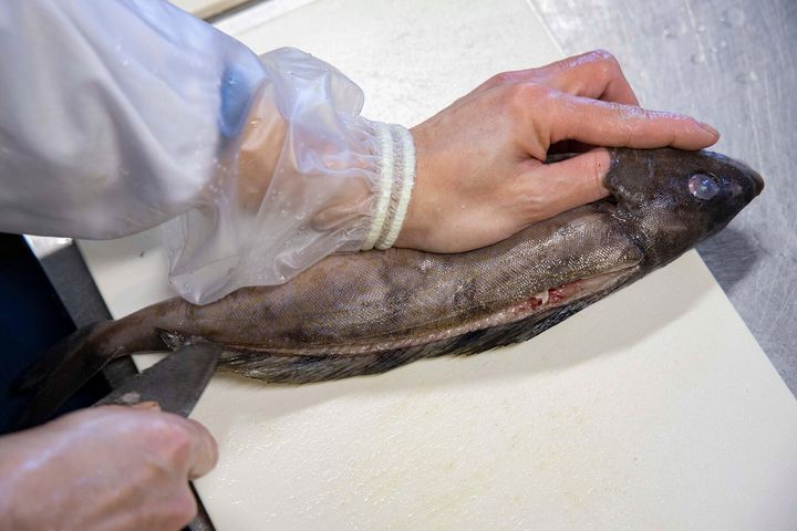 首から尾まで切り目を入れる