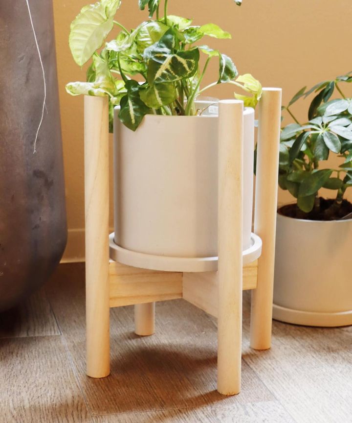 画像1: 出典：3COINS