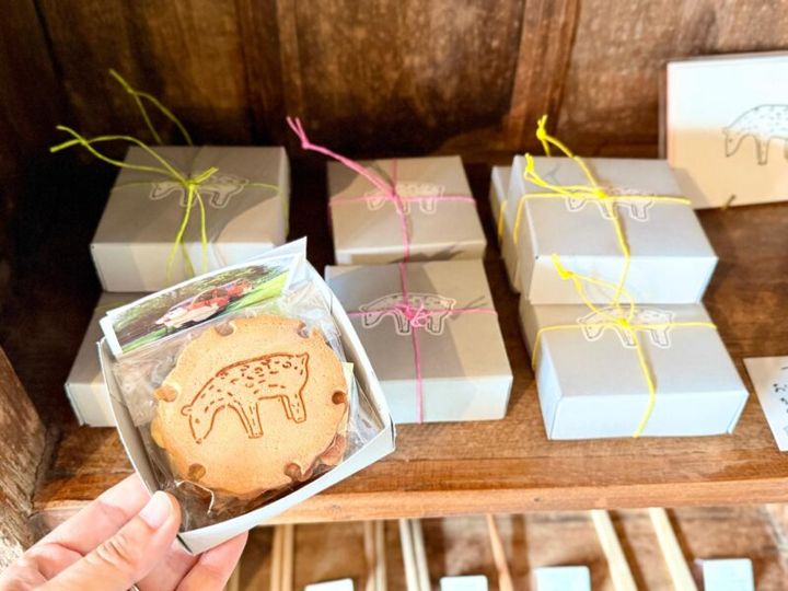 奈良_サトリデザイン