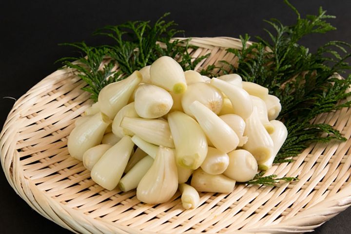 ▲生らっきょう。自家製の甘酢漬けにしたり、天ぷらにして食べてもおいしいです。