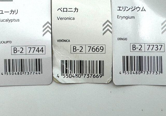 ユーカリ ベロニカ エリンジウム JANコード