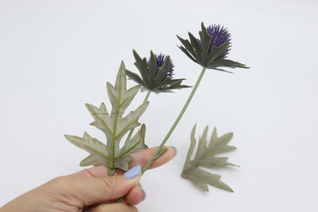 ユーカリ ベロニカ エリンジウム 取り外し