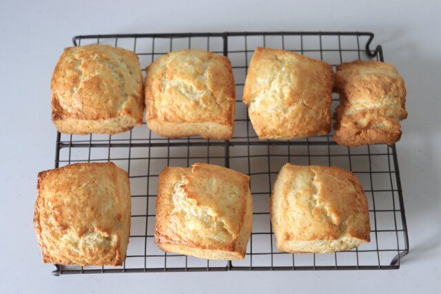 焼成後は網の上で冷ます。