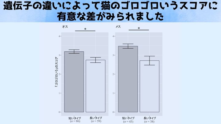 ゴロゴロしやすさを遺伝子レベルで解析！
