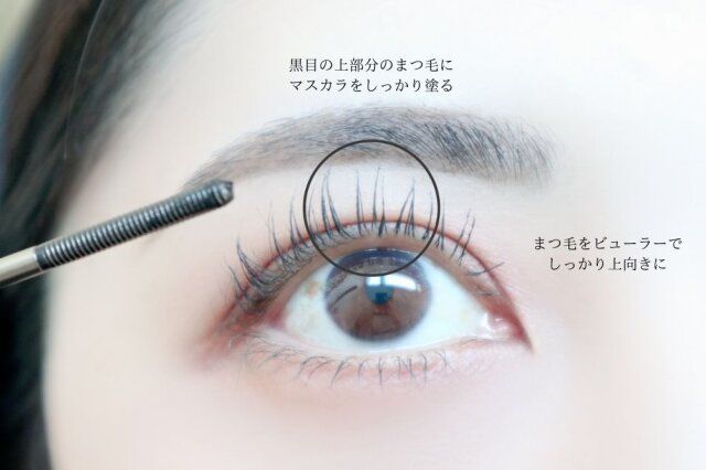 アイメイクのポイント：まつ毛で目の縦幅を盛る