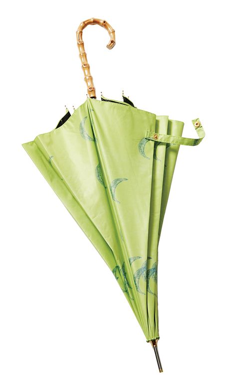 公園待機の日にも日傘はマスト！ 晴雨兼用傘なら帰り道の雨だって大丈夫！【最新号からちょっと見せ】の画像3