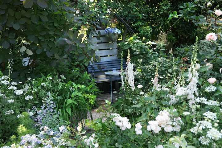 アジサイとベンチ