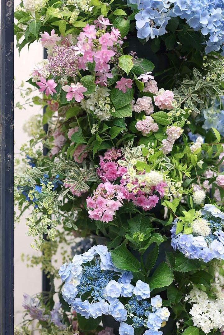 アジサイのタワー