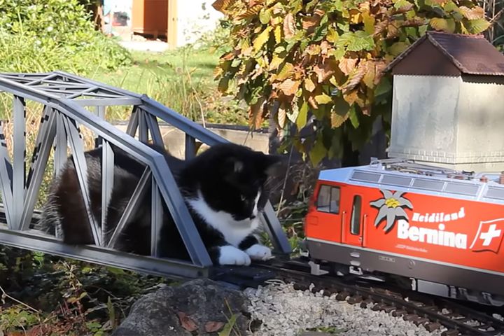 出典：Katze vs. Gartenbahn III