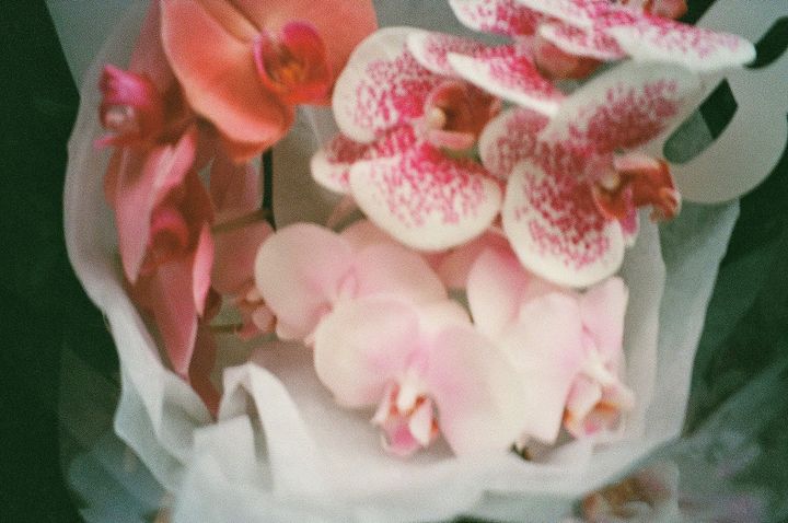 emmaのセルフラブ