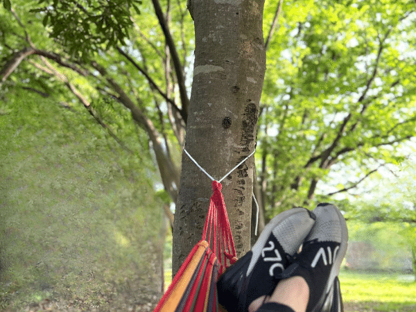 こんな収納はNG！キャンプギアのトラブルをなくすための正しい保管方法とは？