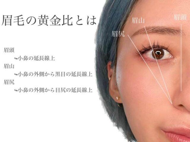 眉毛の黄金比で眉毛を描く