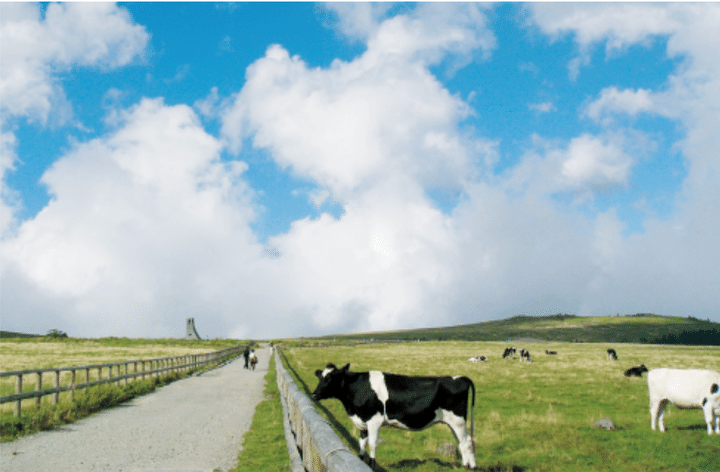 道の駅美ヶ原高原