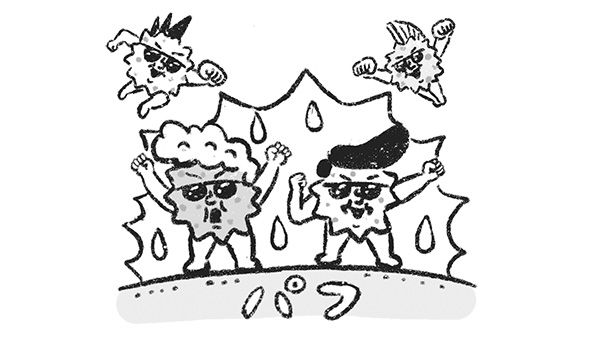 イラスト 3.パフの脂が酸化して常在菌が悪い菌に