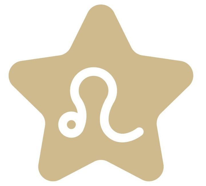 獅子座の2025年下半期の運勢