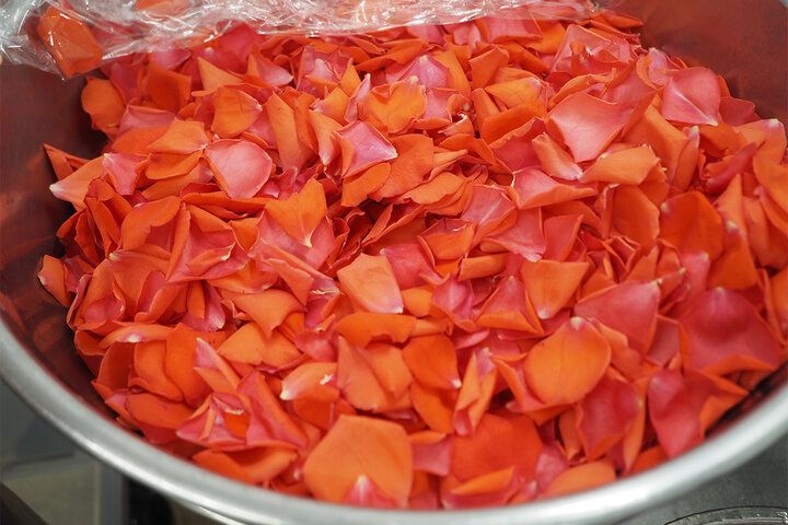 心ときめく薔薇尽くしのティータイム♪ 自家製バラを味わう伊豆ばら園併設のカフェ「70 nanamaru cafe」