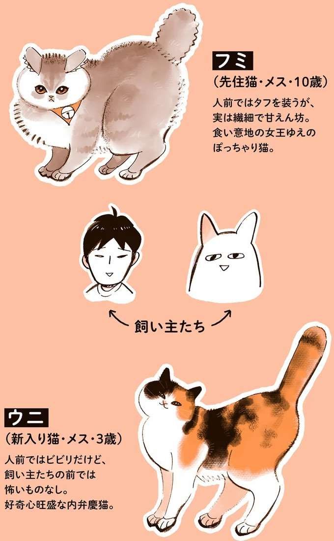 uchinoneko1_1.jpeg