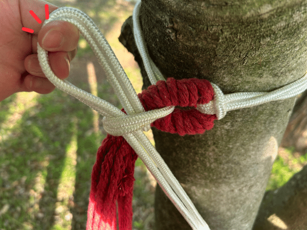 「ひとつ持ってれば安心」ダイソーの“保冷3点セット”がコスパ最強で優秀すぎる！