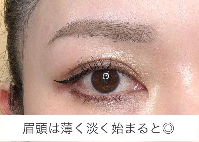 眉頭は薄く淡く始める