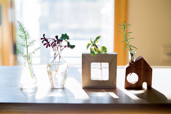 100円ショップの一輪挿しを使ってハーブをアレンジ！ 食べるだけじゃないグリーンの楽しみ方とはの画像1