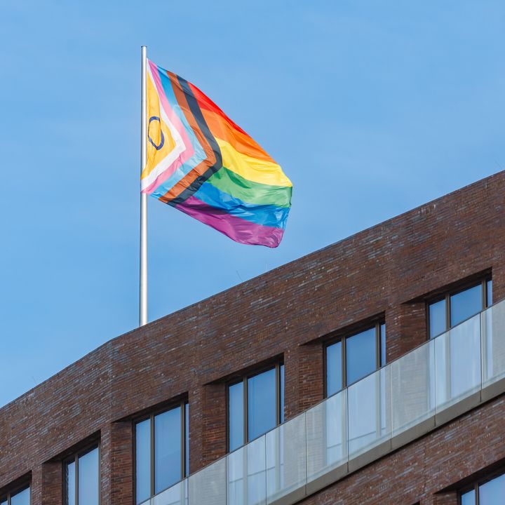 近年では、レインボーカラーに加え、トランスジェンダーや人種的マイノリティ、インターセックス、HIV・AIDSとともに生きる人々など、さらに多様なコミュニティを可視化する「プログレスプライドフラッグ」が使用される機会も多い。