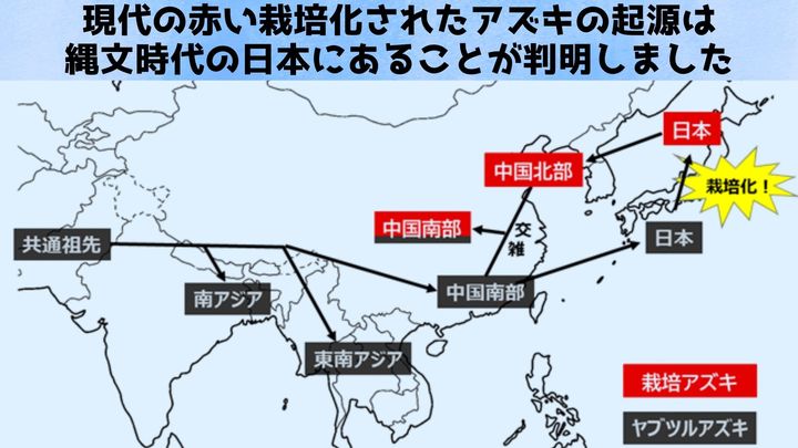大陸説vs日本説 決着のカギはDNA