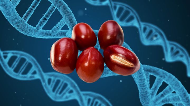 考古学×遺伝学が塗り替える農業史 