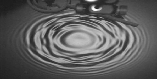 水の波紋が過去へ逆戻りする現象を確認