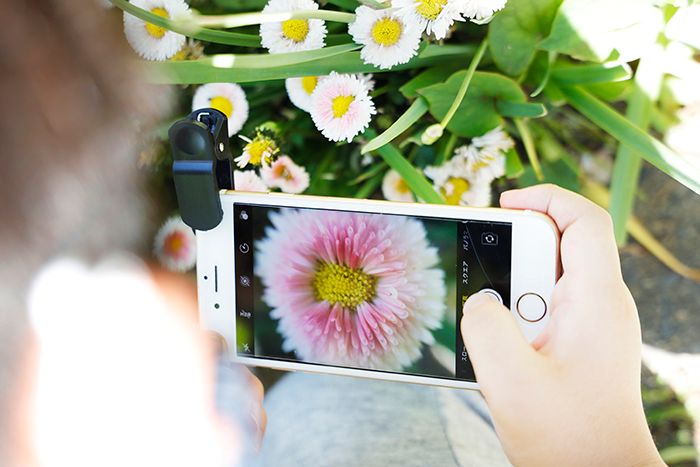 100円ショップの虫眼鏡やルーペを使って、「スマホカメラ」で撮るマクロな世界【ママカメラマンのスマホ写真術】の画像11