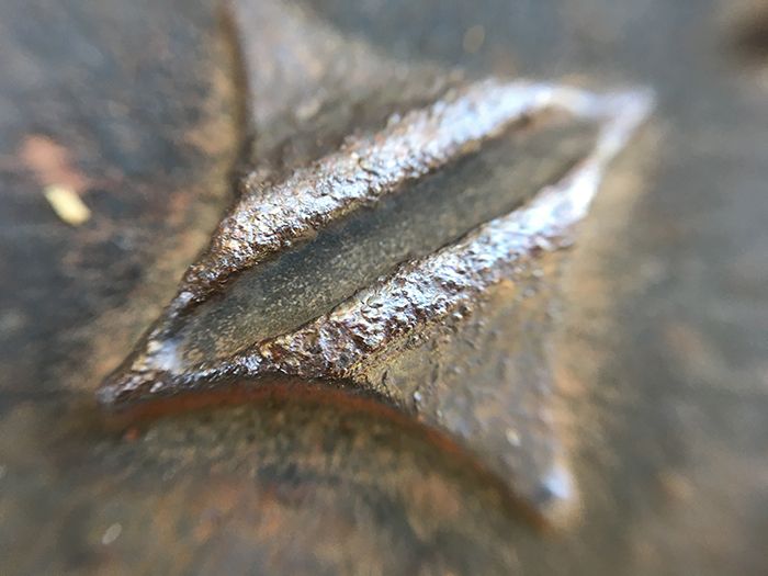 100円ショップの虫眼鏡やルーペを使って、「スマホカメラ」で撮るマクロな世界【ママカメラマンのスマホ写真術】の画像12