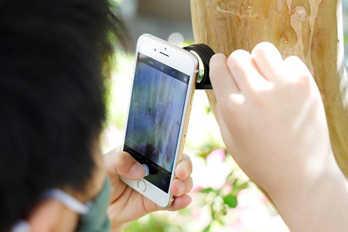 100円ショップの虫眼鏡やルーペを使って、「スマホカメラ」で撮るマクロな世界【ママカメラマンのスマホ写真術】の画像7
