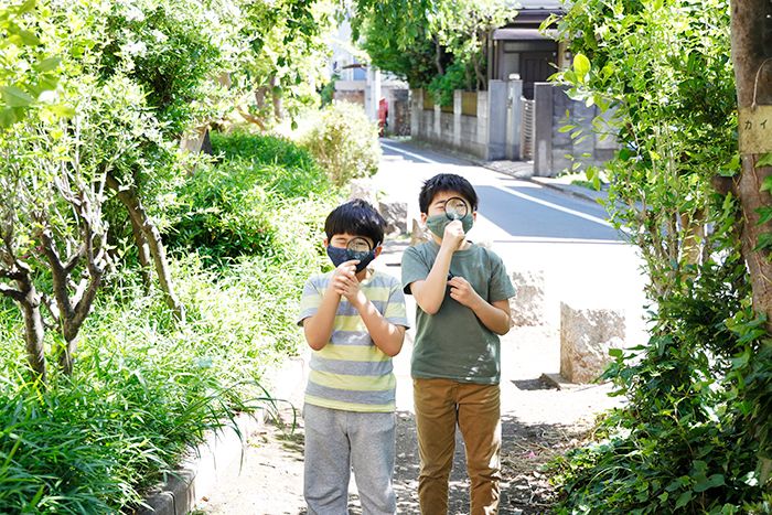 100円ショップの虫眼鏡やルーペを使って、「スマホカメラ」で撮るマクロな世界【ママカメラマンのスマホ写真術】の画像1