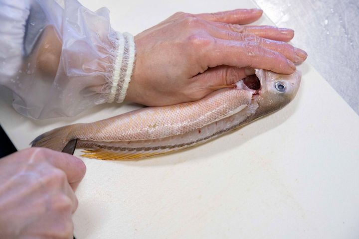 首から尾まで切り目を入れる