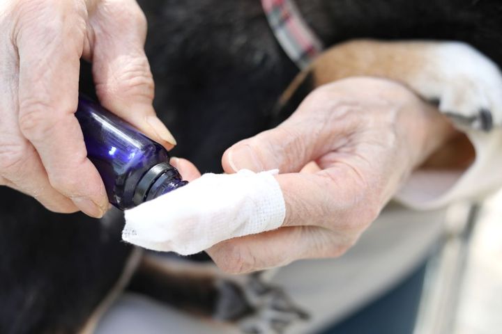 イヤークリーナー