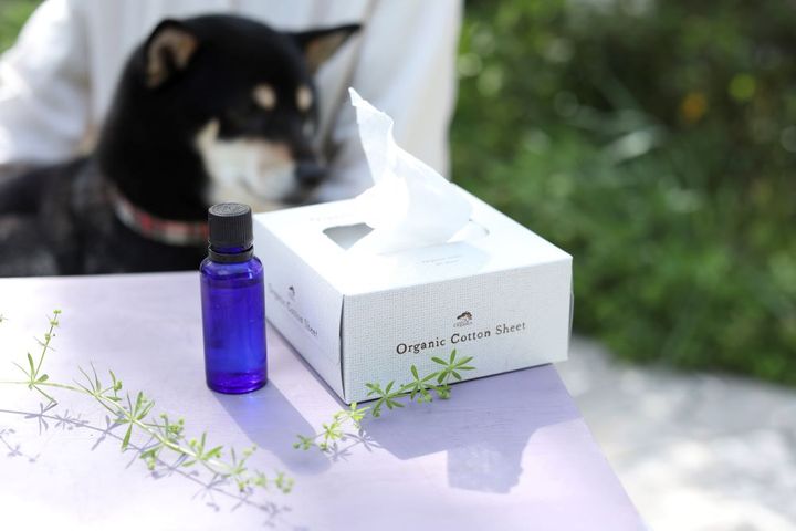 イヤークリーナー