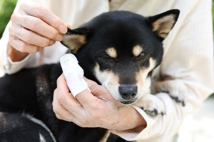 手作りイヤークリーナー