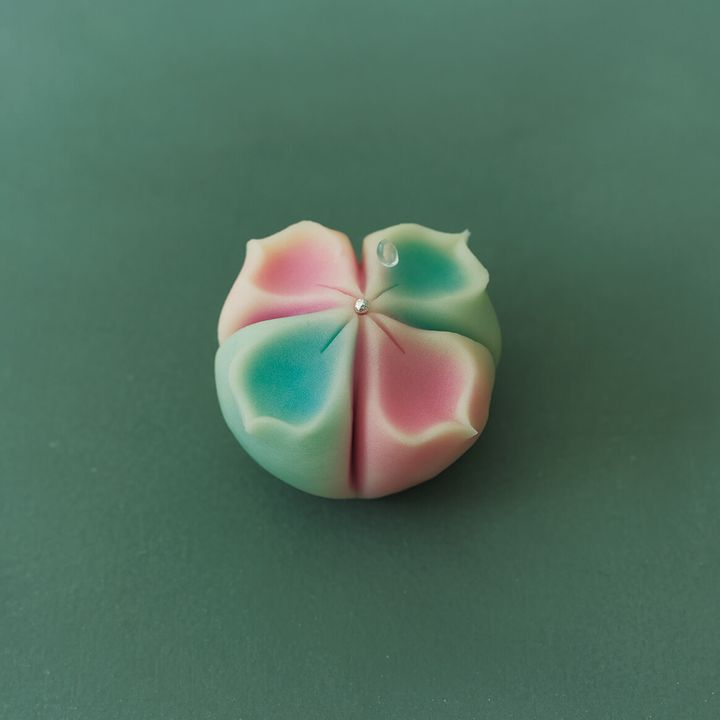 250520-250520-japanese-wagashi-01.jpg