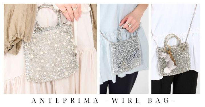 クラウドチームVERYのアンテプリマのワイヤーバッグ